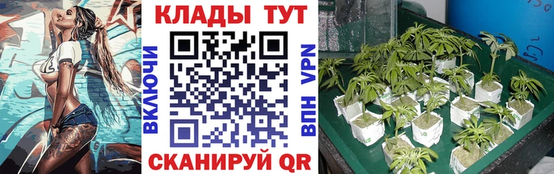 Купить закладку Экстази  Меф  Галлюциногенные грибы  Кокаин  Каннабис  Альфа ПВП  Тында