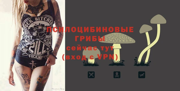 мдма Коряжма