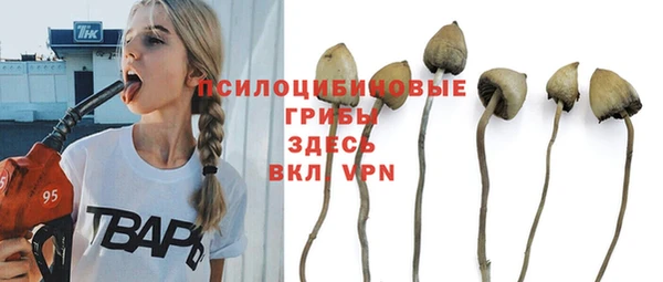 мдма Коряжма