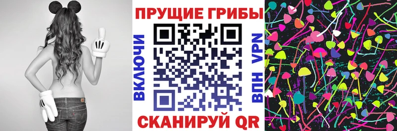 Купить закладки  Тында  Галлюциногенные грибы Psilocybine cubensis 